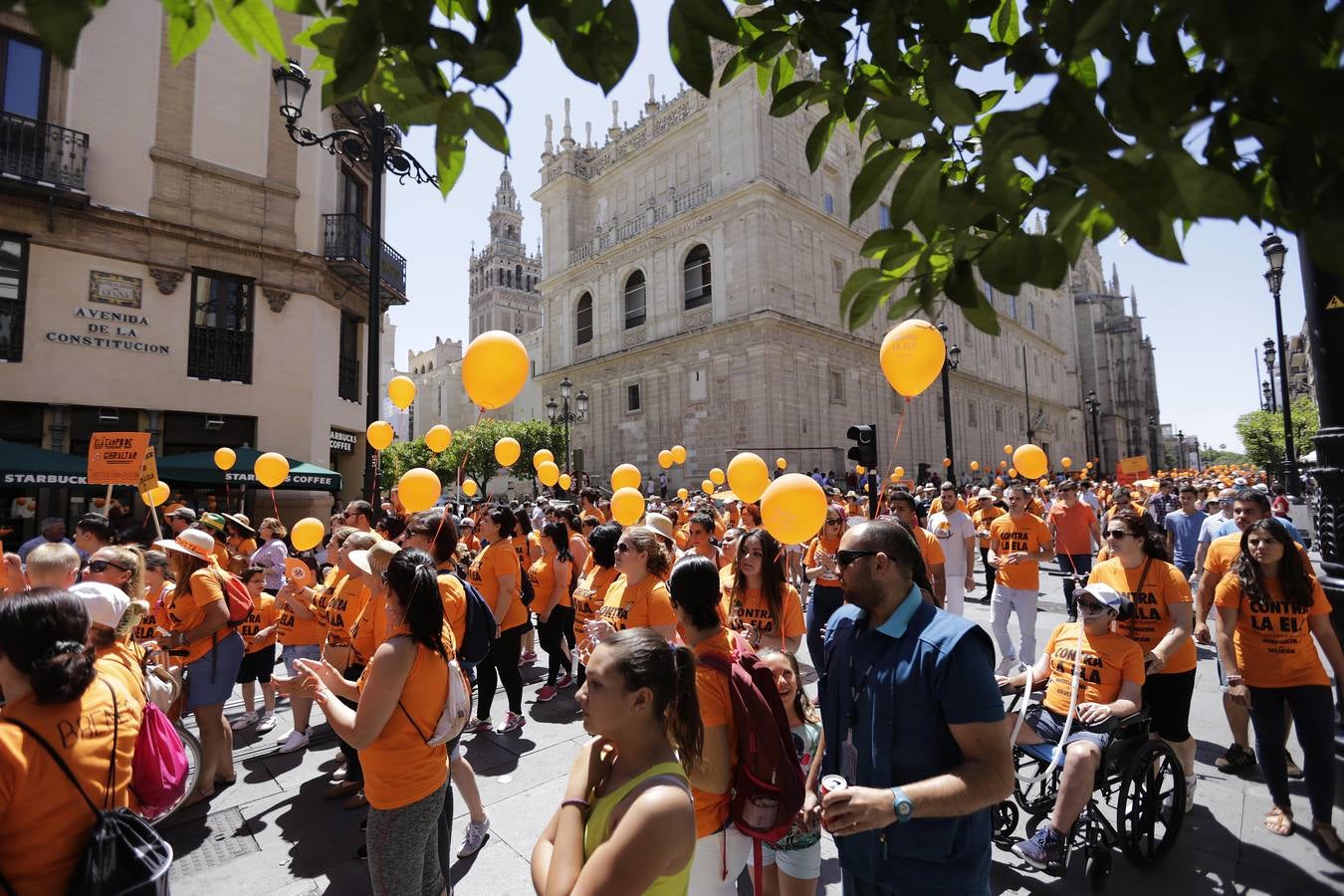 La marcha contra la ELA ha ido desde los Jardines de Murillo hasta la Plaza Nueva pasando por la calle San Fernando y la Avenida de la Constitución