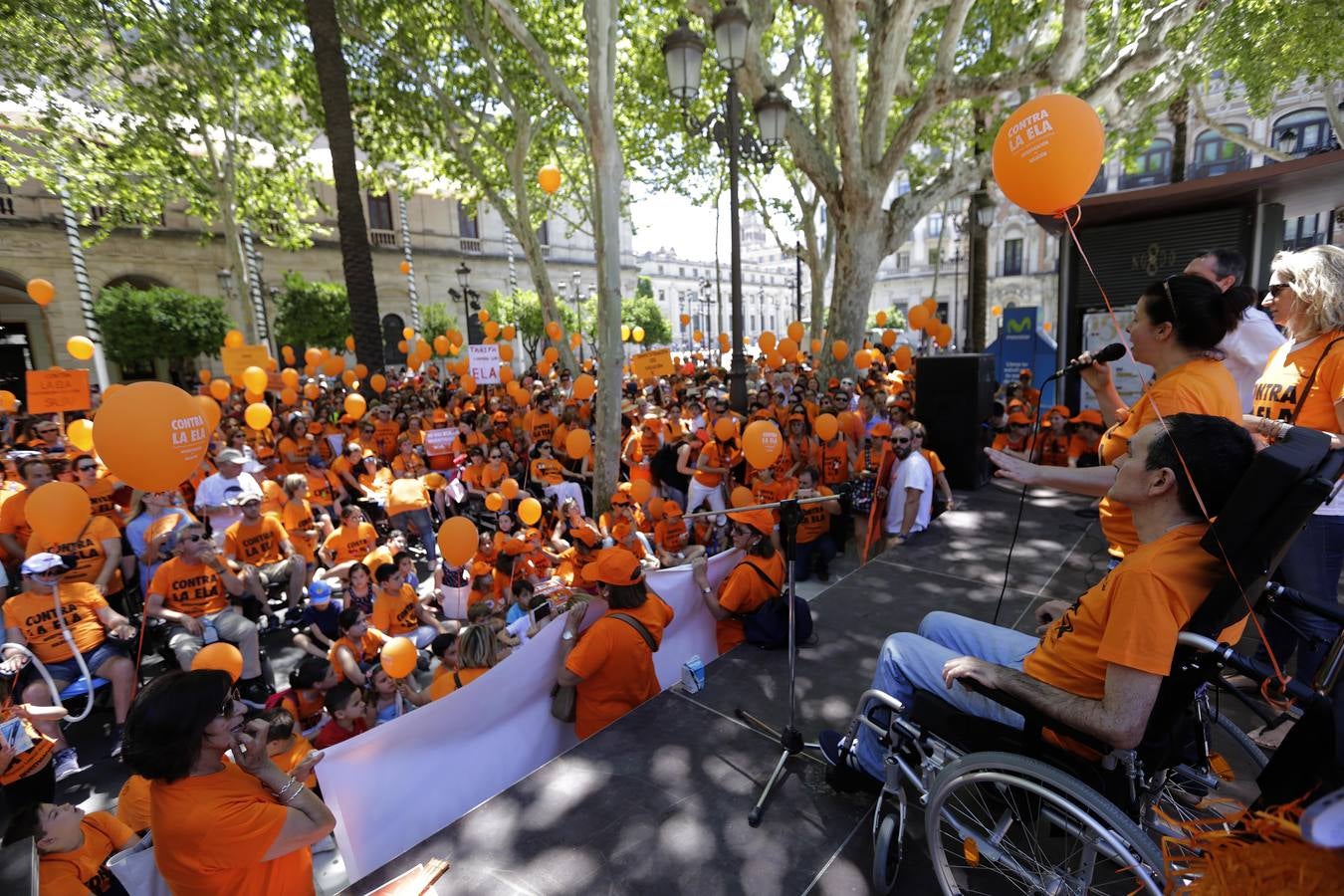 La marcha contra la ELA ha ido desde los Jardines de Murillo hasta la Plaza Nueva pasando por la calle San Fernando y la Avenida de la Constitución