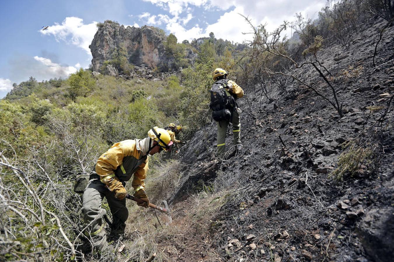 Varios brigadistas forestales trabajan en el perímetro del incendio forestal que afecta a la localidad de Carcaixent