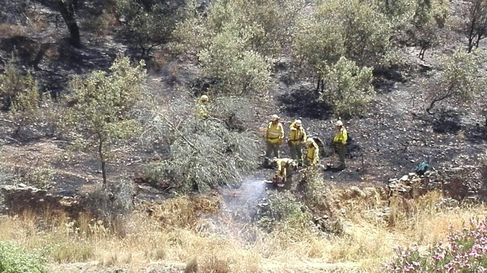 Un incendio de pastos obliga a desalojar la piscina del Ronquillo