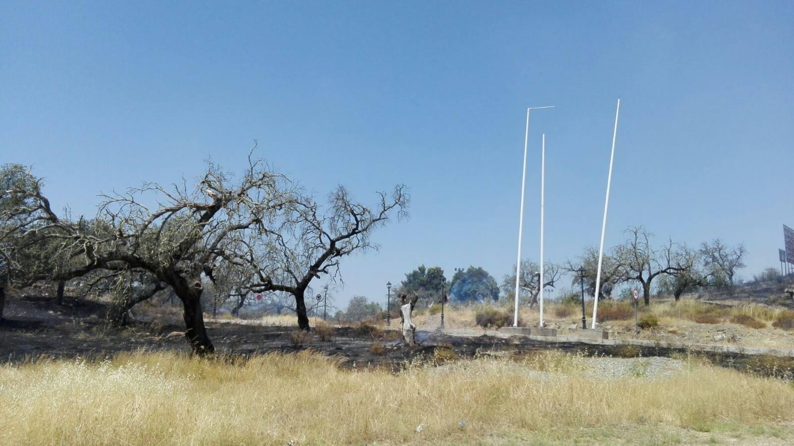 Un incendio de pastos obliga a desalojar la piscina del Ronquillo