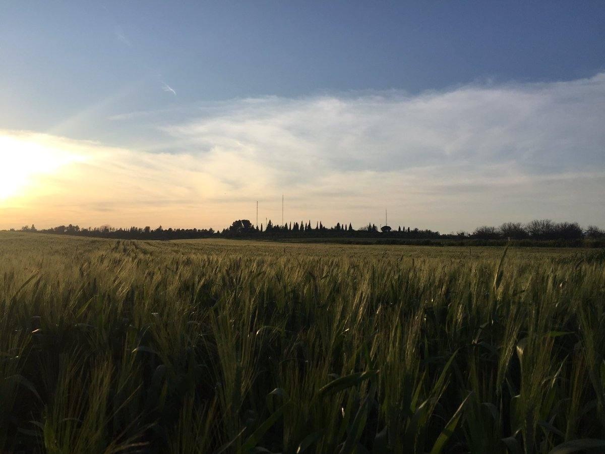 Atardecer en Castilleja de la Cuesta (Sevilla)