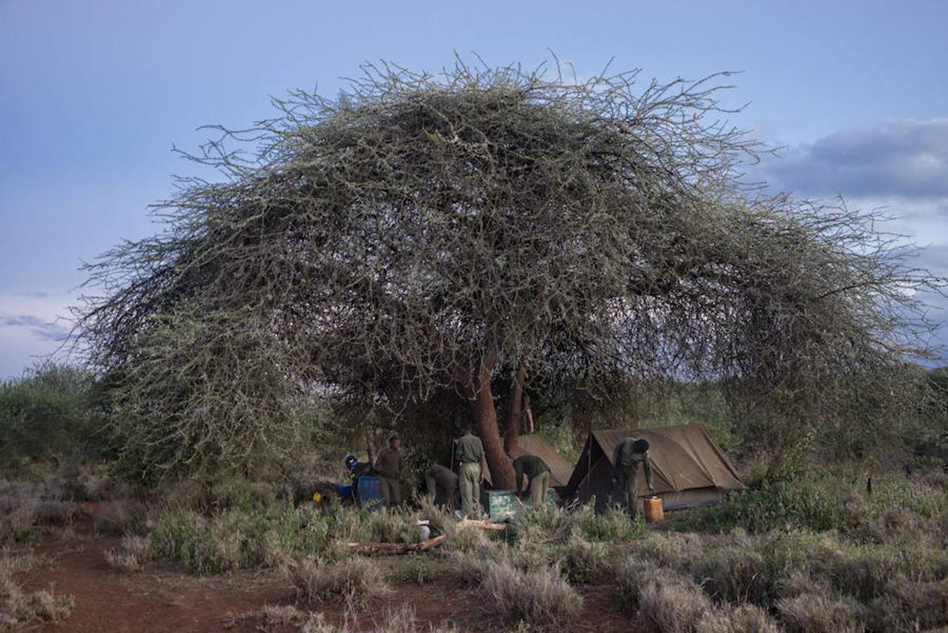 6. KENIA, AMBOSELI - Febrero 2016: Una unidad, en su campamento en el National Park Amboselli. ( Photo by Alvaro Ybarra Zavala). 