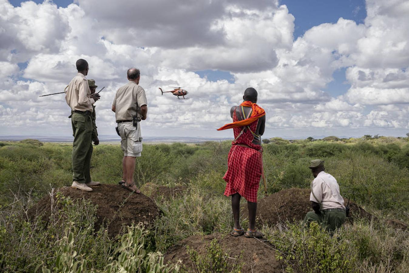 9. KENIA, AMBOSELI - Febrero 2016: Un grupo observa la operación de un helicóptero que intenta disparar un dardo a un elefante herido ( Photo by Alvaro Ybarra Zavala). 