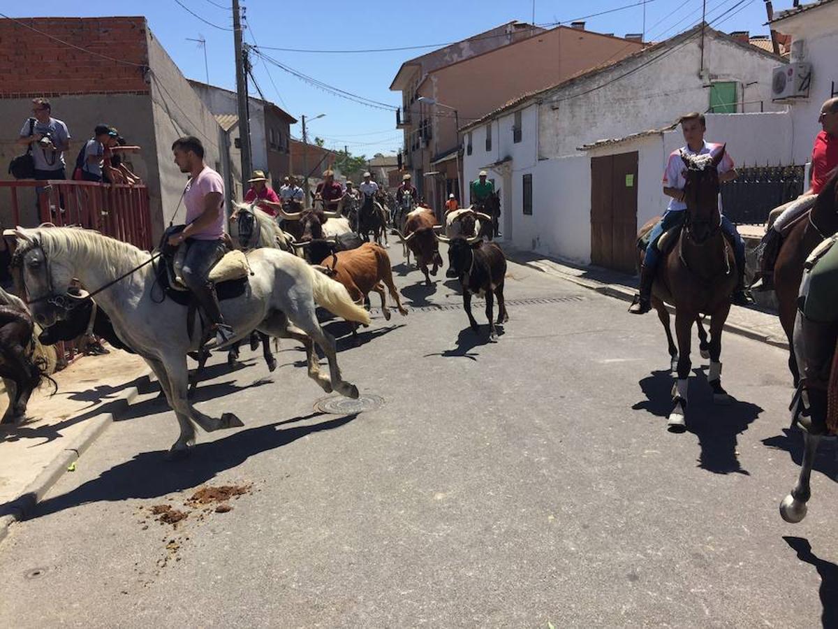 Cedillo recupera la trashumancia