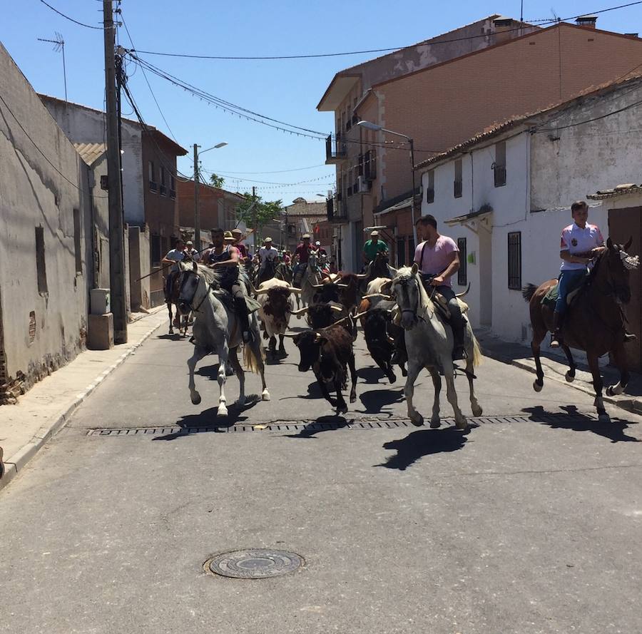 Cedillo recupera la trashumancia