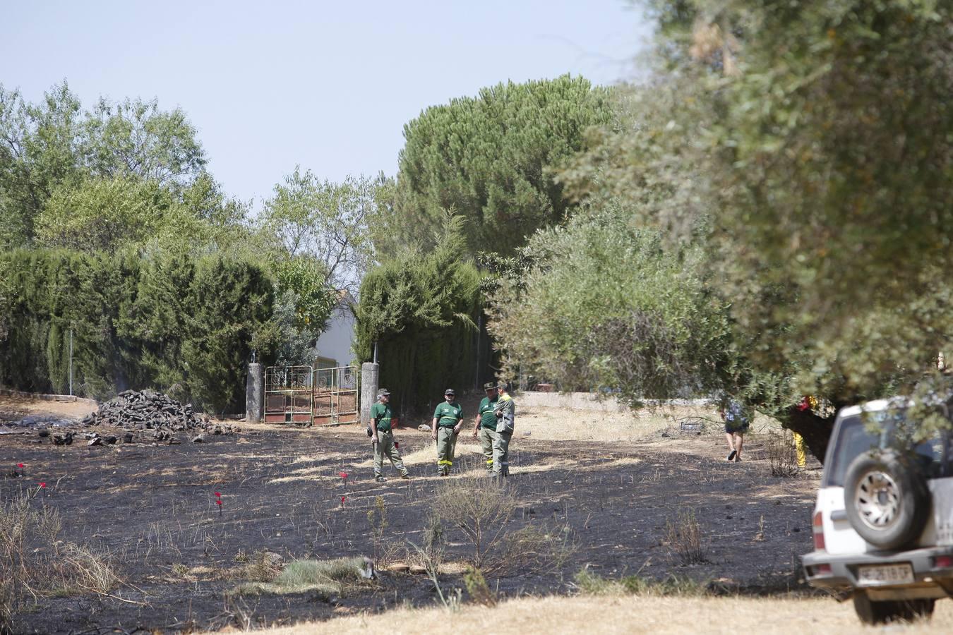 El incendio forestal de las Siete Fincas, en imágenes