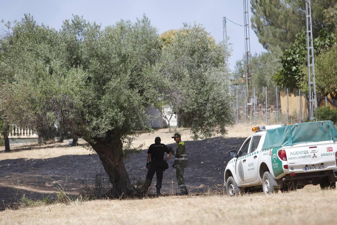 El incendio forestal de las Siete Fincas, en imágenes