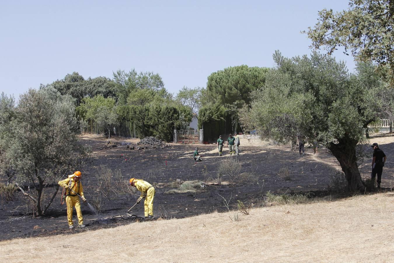 El incendio forestal de las Siete Fincas, en imágenes