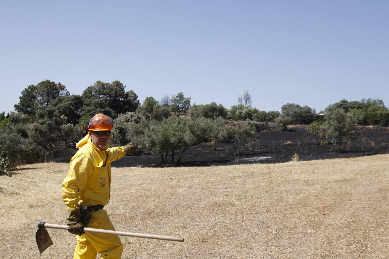 El incendio forestal de las Siete Fincas, en imágenes