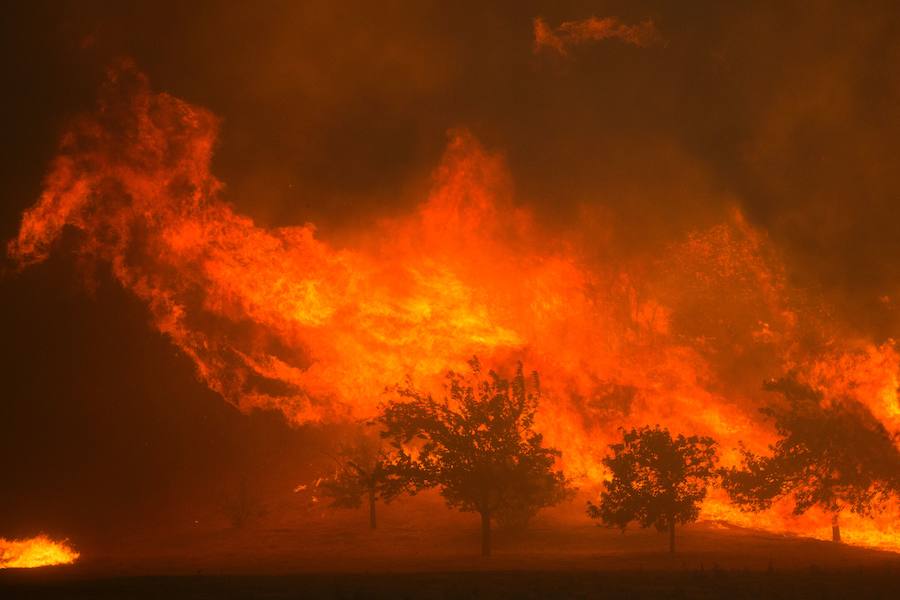 El fuego se desplaza el sábado pasado de forma violenta y rápida debido a las rachas de viento hacia las viviendas en Santa Clarita. 