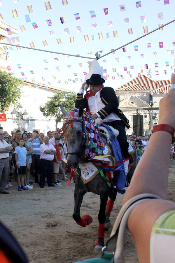 La carrera de gansos de Carpio de Tajo