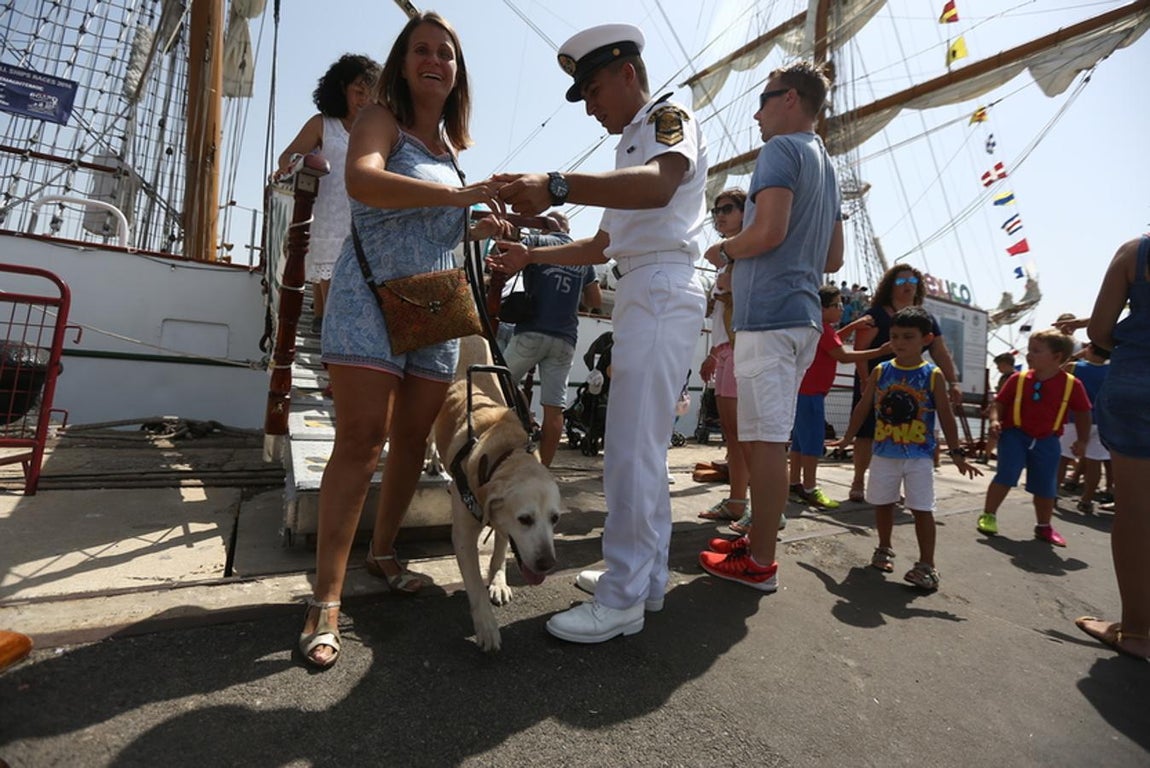 Los veleros de la Gran Regata de Cádiz (III)