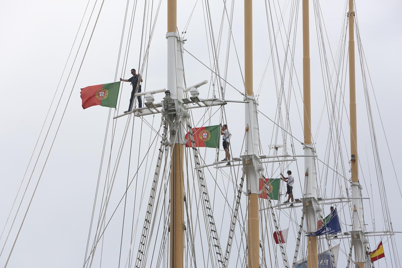 La salida de los veleros del puerto de Cádiz, en imágenes