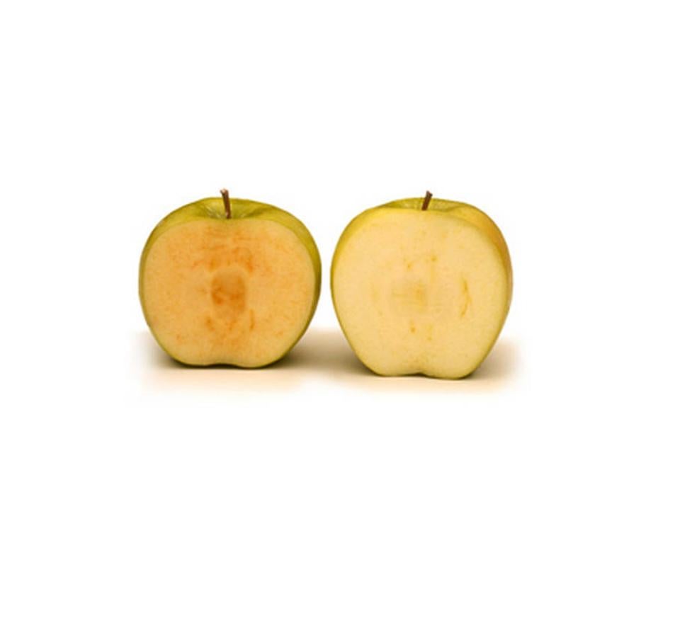 Las 16 frutas que hay que comer en agosto. Manzana