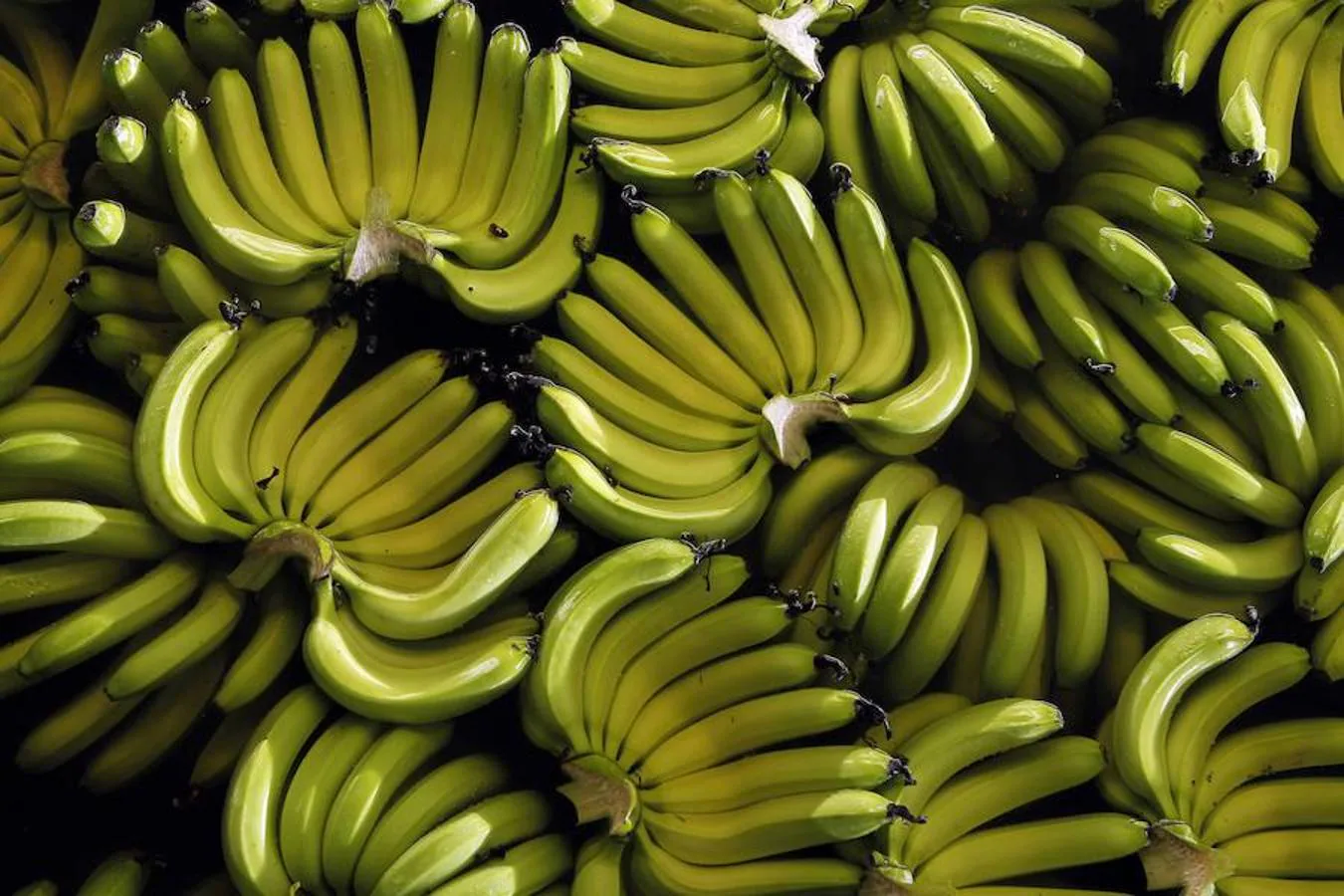 Las 16 frutas que hay que comer en agosto. Plátano