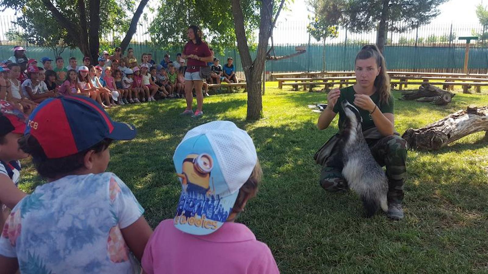 El «Verano Guay» de Torrijos llega a su fin