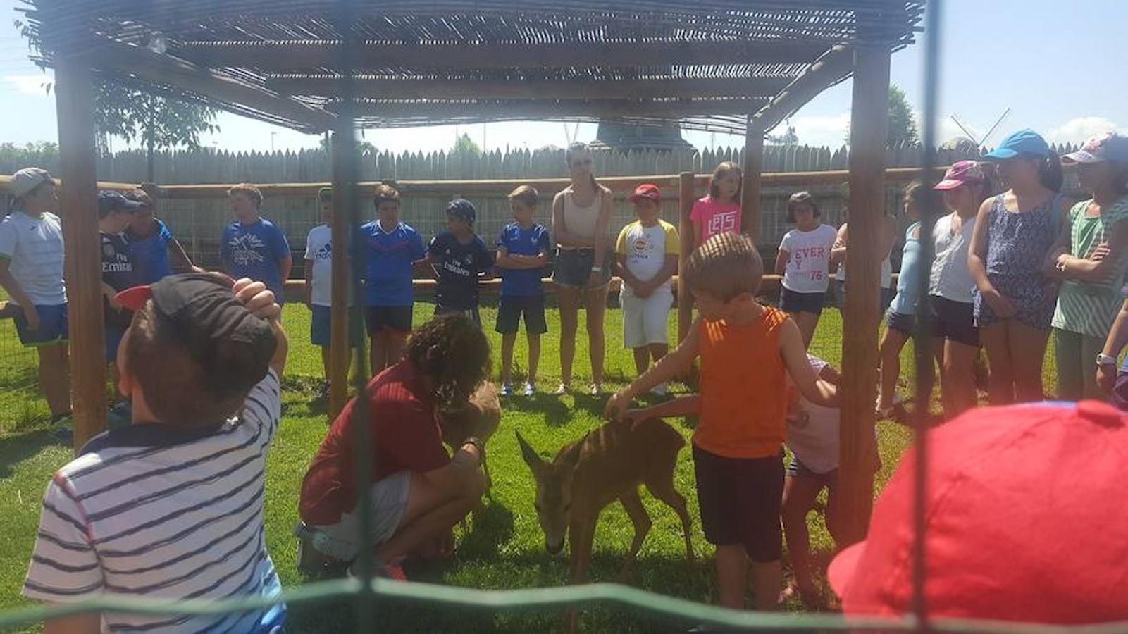 El «Verano Guay» de Torrijos llega a su fin