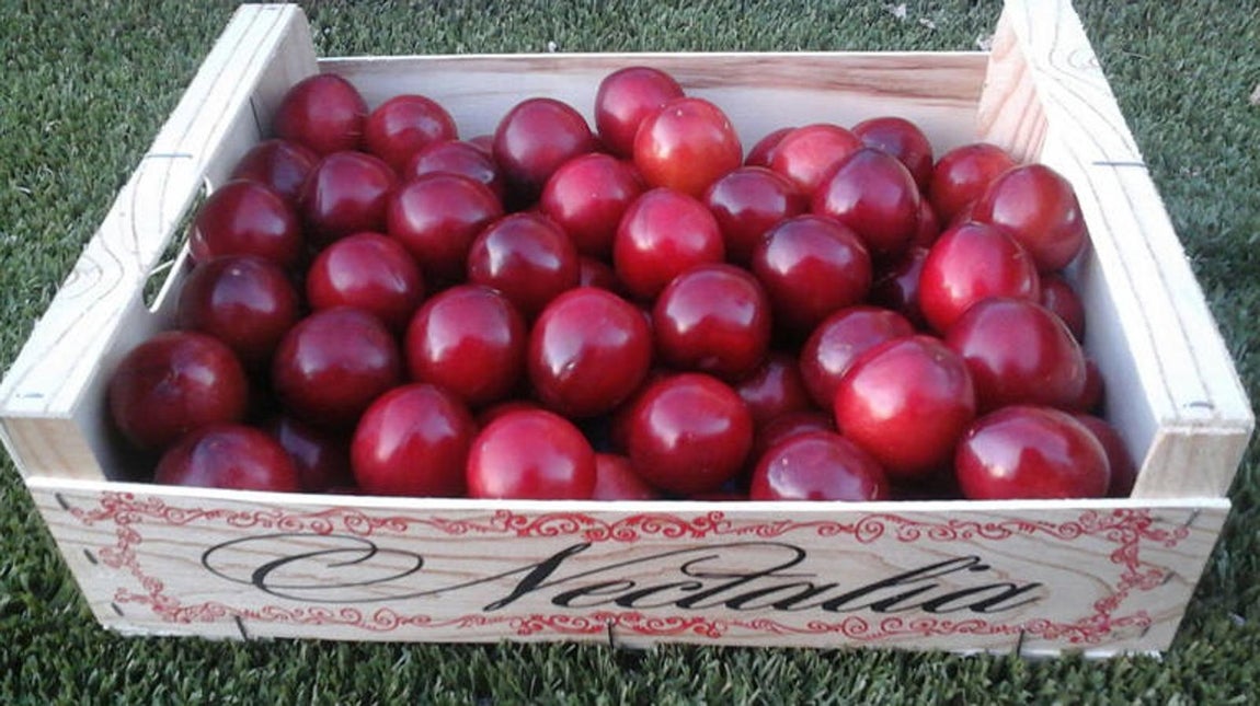 Las 16 frutas que hay que comer en agosto. Ciruelas