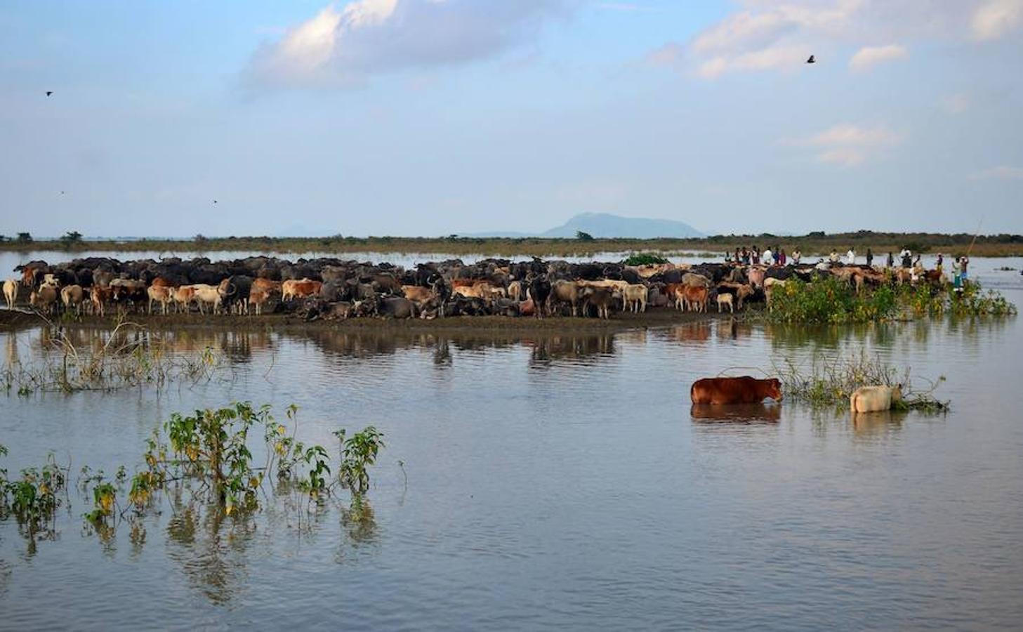 Las lluvias del monzon han provocado más de 400 muertes desde comienzos del verano en el sur de Asia. Las inundaciones han afectado a ocho millones de personas. 