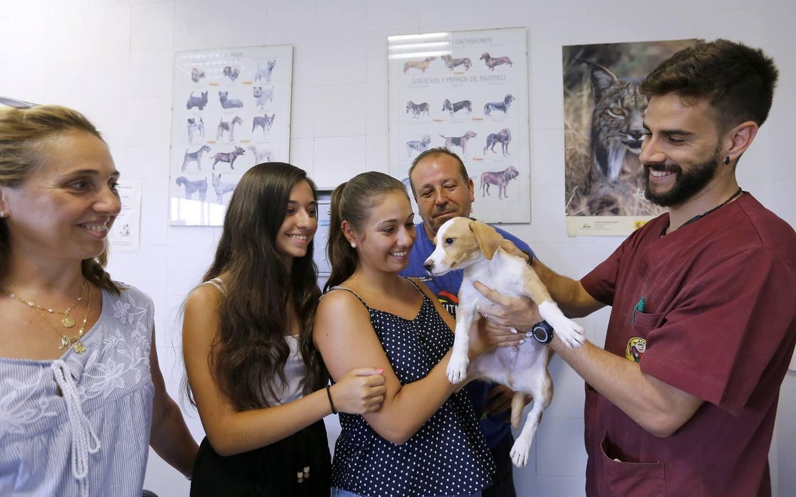 En imágenes, los perros que buscan familia en el CECA