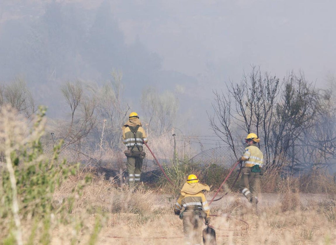 04. «Unos vehículos de la UME se encuentran ya retirando esas aguas residuales para llevarlas a plantas de reciclaje de este tipo de productos", ha precisado a Efe el director provincial de Medio Ambiente, Sergio David González.