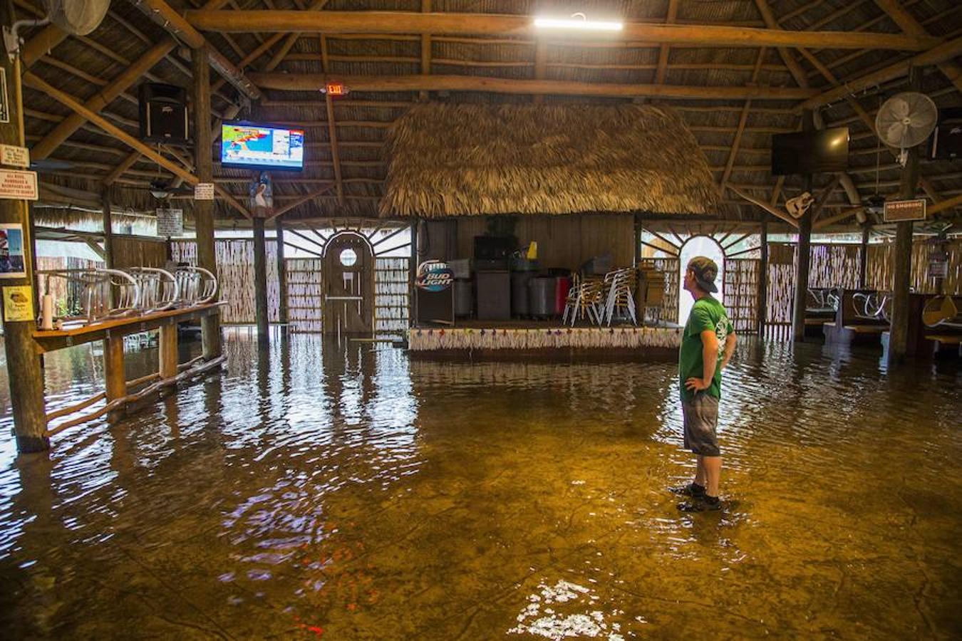 El huracán «Hermine» golpea el norte de Florida