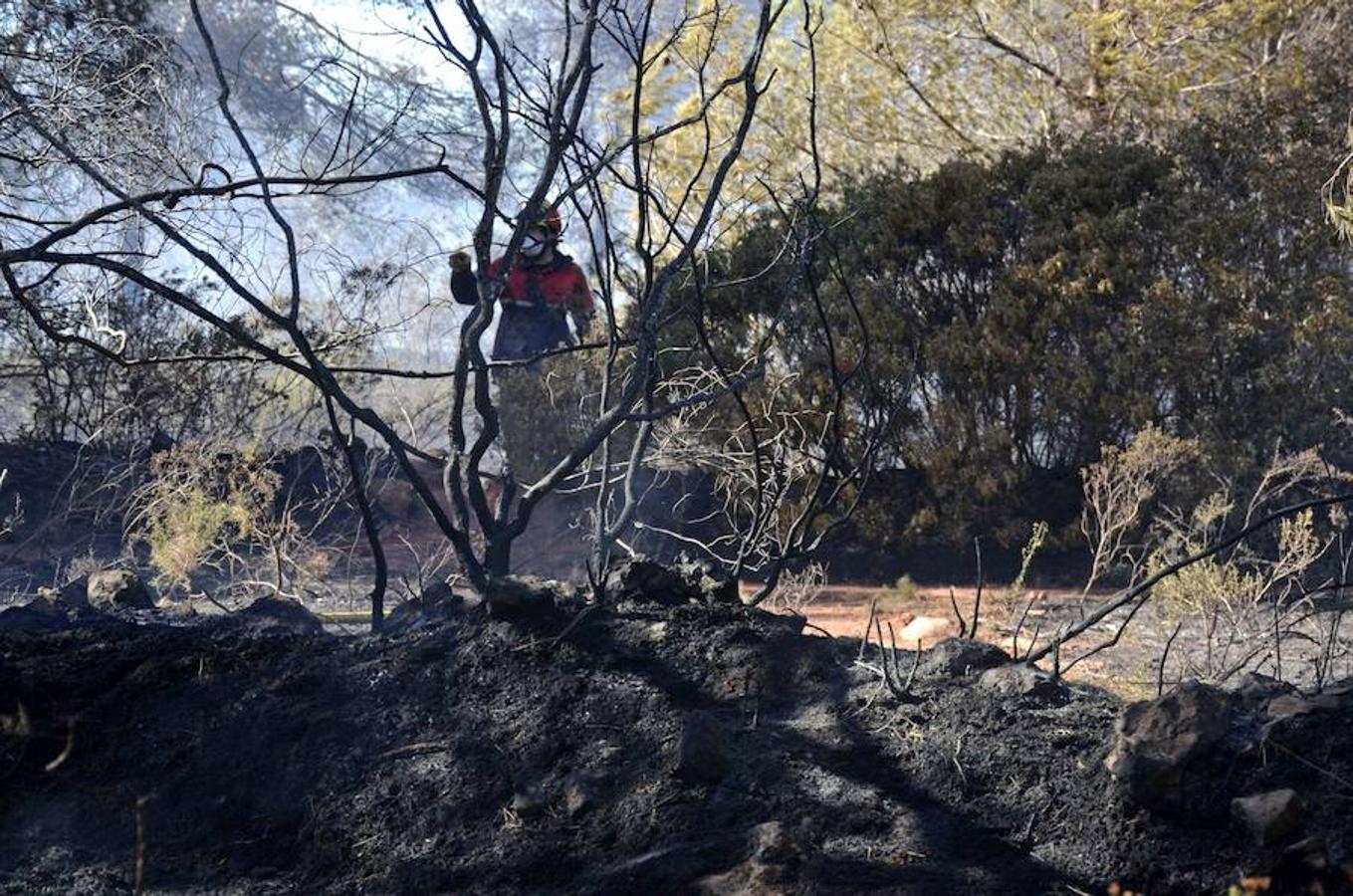 El fuego sin control devora la Costa Blanca