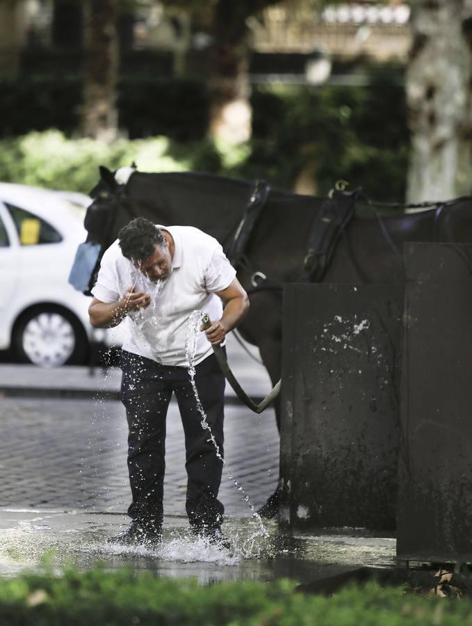 Sevilla vive una ola de calor de récord