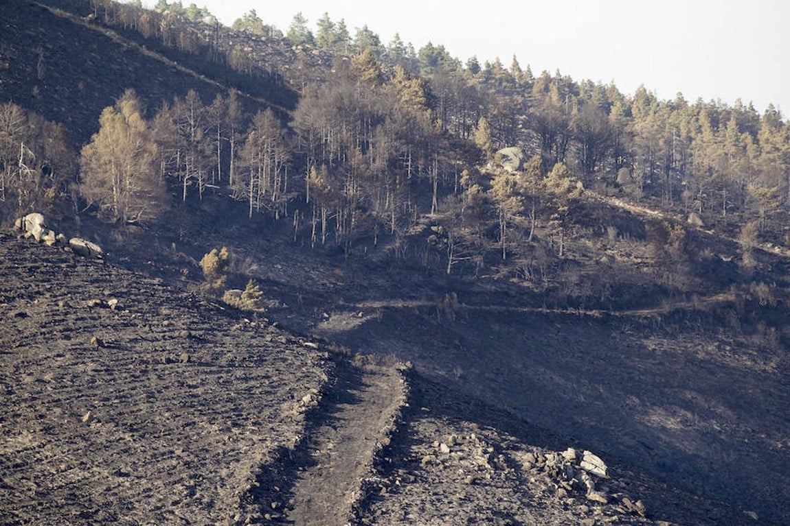 Vista de la zona afectada por el incendio registrado en Chantada (Lugo), en la parroquia de Requeixo, que se encuentra bajo control desde las seis de la madrugada, y, según estimaciones de carácter provisional, la superficie afectada es de un centenar de hectáreas. 