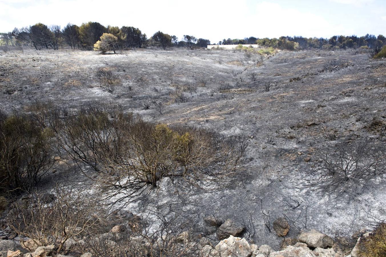 El incendio de Menorca ha sido declarado de nivel de riesgo 1, por su cercanía a núcleos habitados. El Centro de Control de Incendios Forestales del Ibanat ha suspendido todas las autorizaciones para la realización de quemas controladas previstas para este martes, por altas temperaturas