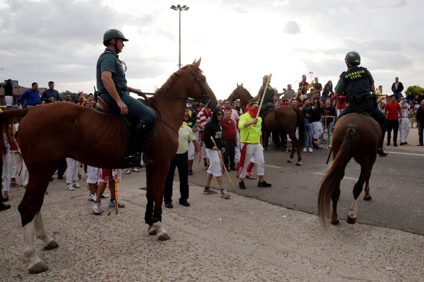 Seguridad. Un gran dispositivo de seguridad que vigilará que no haya incidentes en el evento al que asistirán cientos de personas, entre ellos animalistas y vecinos del pueblo en defensa del Toro de la Vega