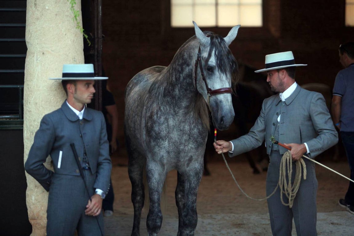 El arranque de Cabalcor, en imágenes