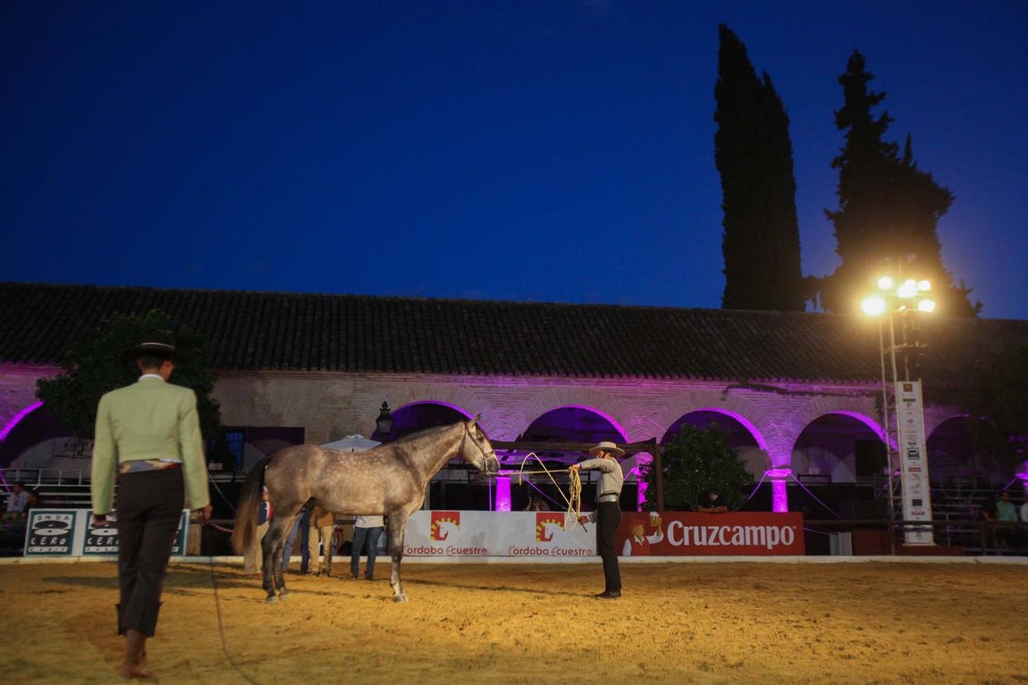 El arranque de Cabalcor, en imágenes