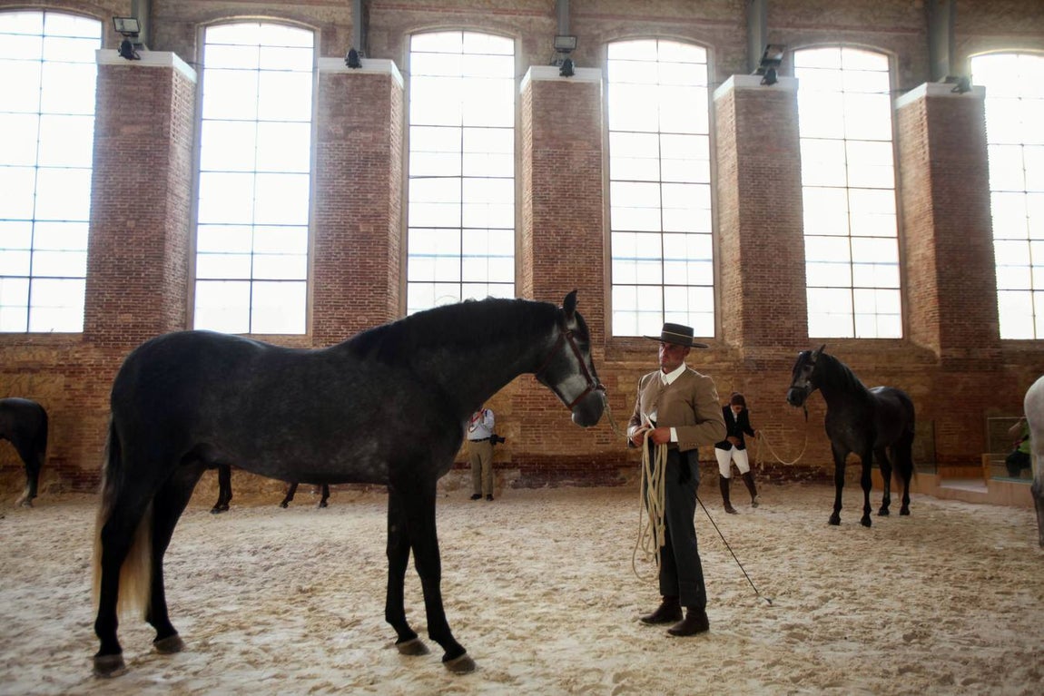 El arranque de Cabalcor, en imágenes