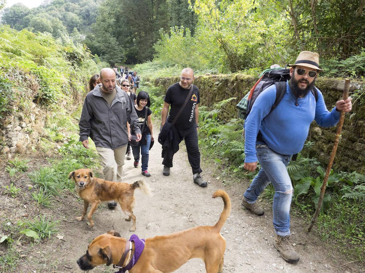 Villares cerca de Sarria. 