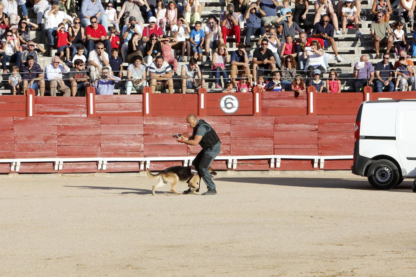 Exhibición de la Guardia Civil en la plaza de toros