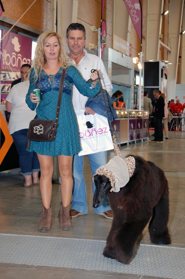 Más de 3.500 perros en la Exposición Internacional Canina de Otoño de Talavera