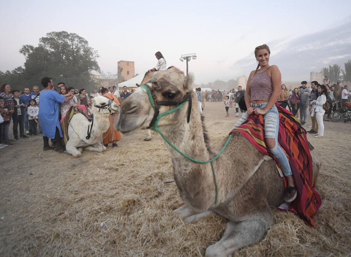 Las mejores imágenes del Mercado Cervantino de Alcalá