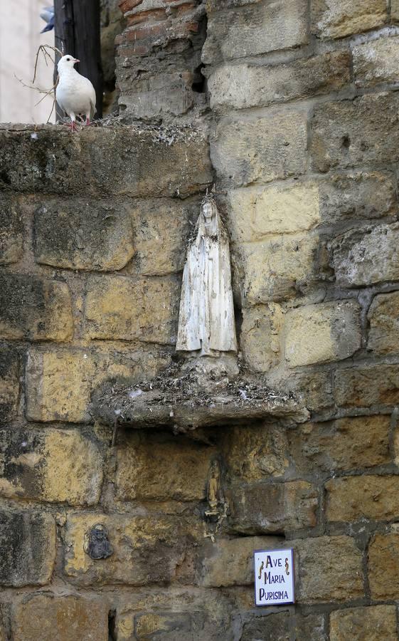 Las entrañas de la Torre de la Malmuerta, en imágenes