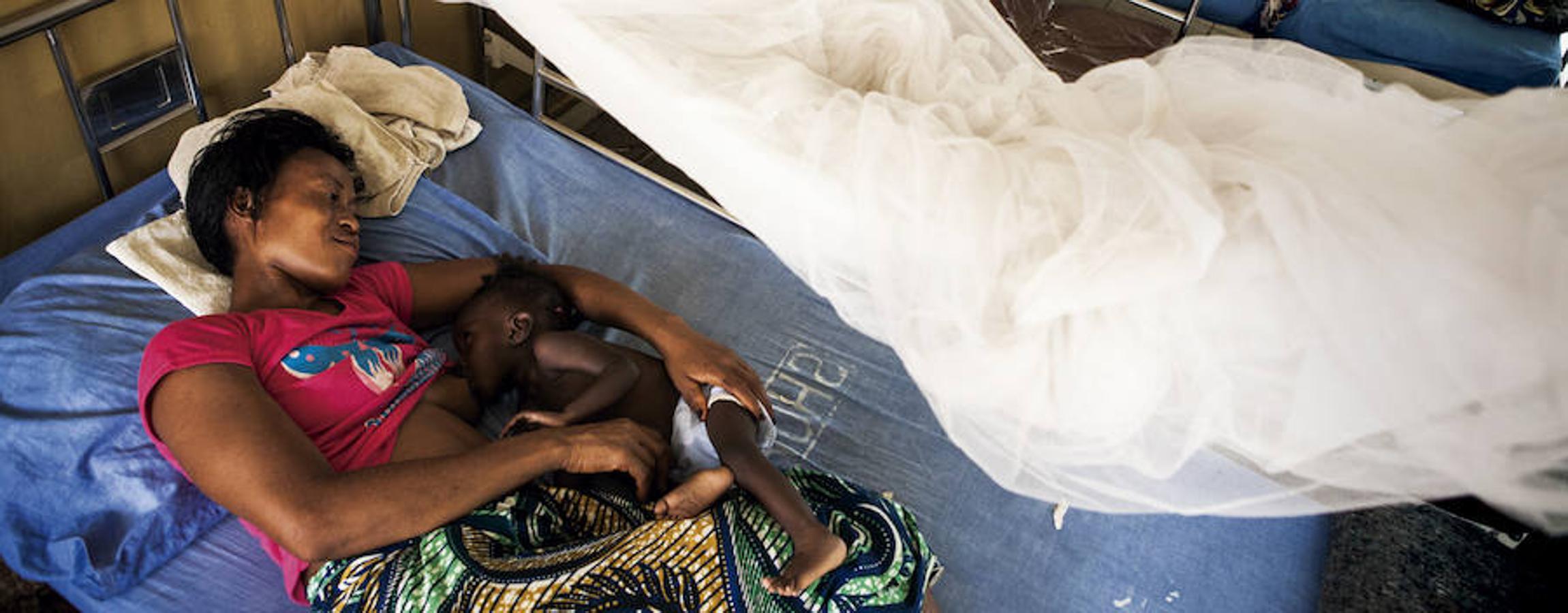 El virus del Ébola embistió duramente a un país ya deteriorado por diez años de guerra civil. Hoy el mayor reto es que la epidemia que acabó con la vida de cerca de 10.000 personas no arrase a su paso los medios de vida y la seguridad alimentaria de miles de supervivientes.