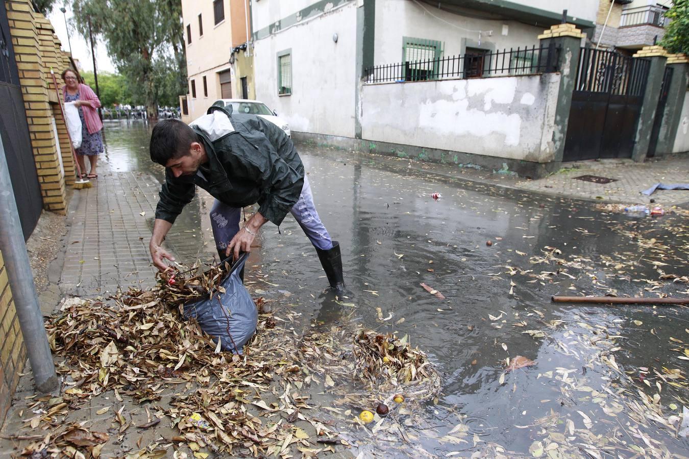 En imágenes: Sevilla, desbordada por las lluvias