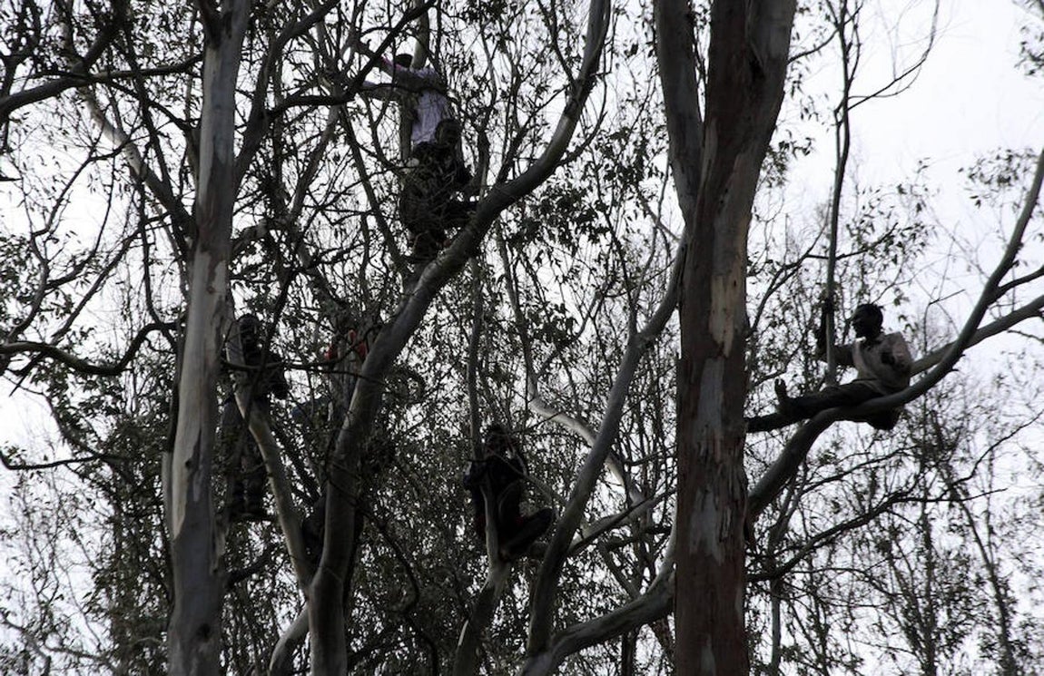 Los inmigrantes han asaltado el vallado sobre las 7.00 horas en un lugar próximo a la frontera sur del Tarajal, tras lo cual muchos de ellos han iniciado una carrera por el monte para no ser detenidos por los efectivos policiales. Efe