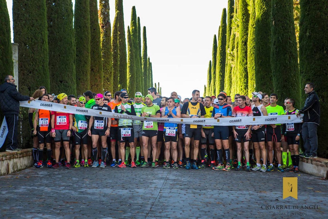 Todo un éxito de la II Media Maratón Cigarral del Ángel de Toledo