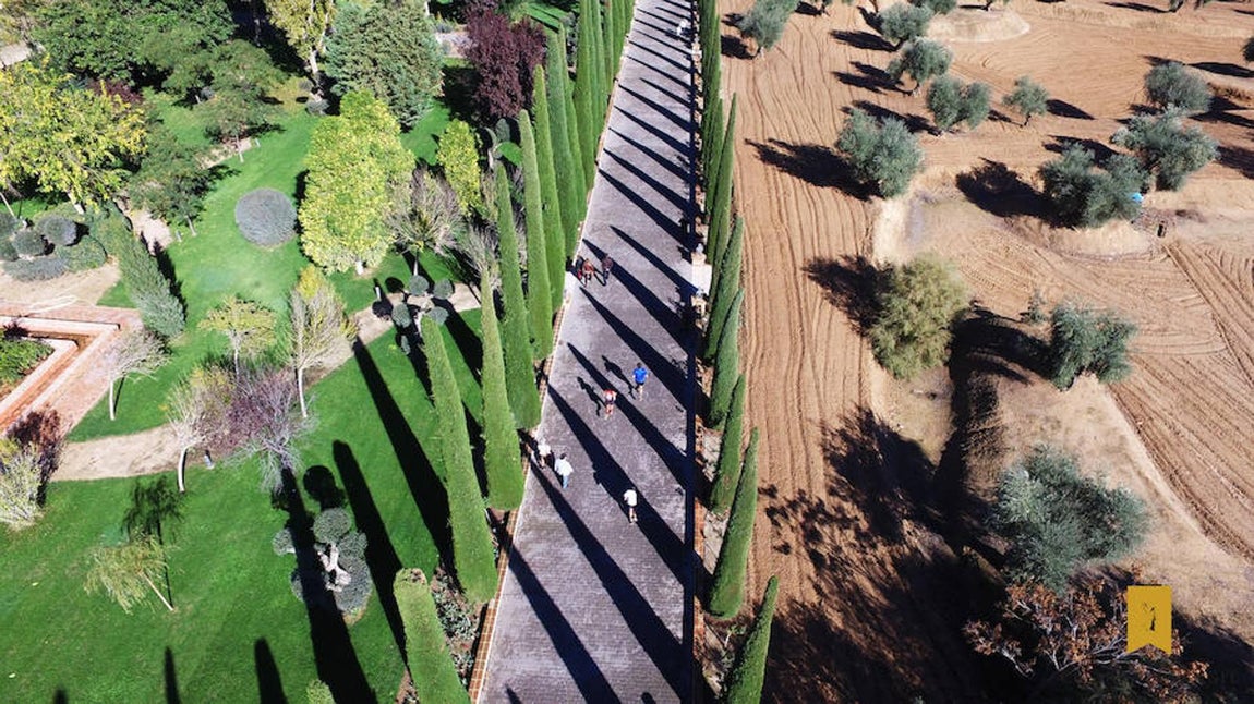 Todo un éxito de la II Media Maratón Cigarral del Ángel de Toledo