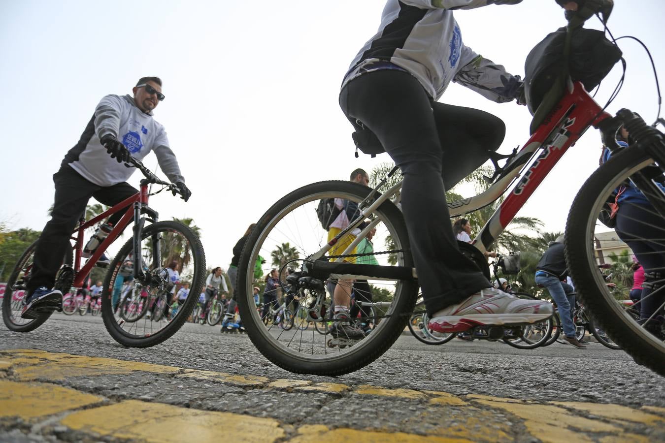 El evento «Sevilla sobre ruedas» ha estado organizado por el Ayuntamiento de Sevilla, en colaboración con la Fundación Cajasol y Bike and You