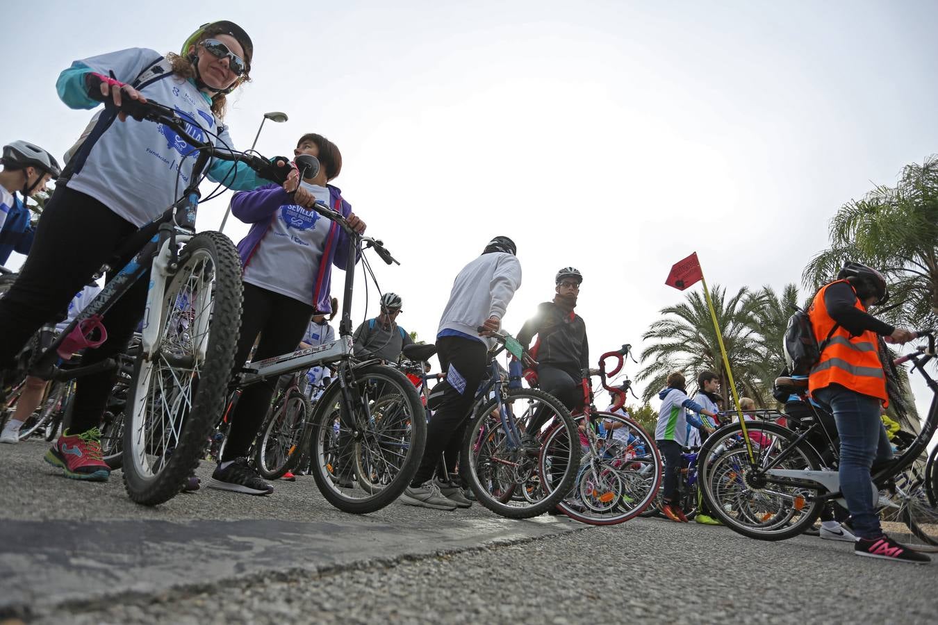 El evento «Sevilla sobre ruedas» ha estado organizado por el Ayuntamiento de Sevilla, en colaboración con la Fundación Cajasol y Bike and You