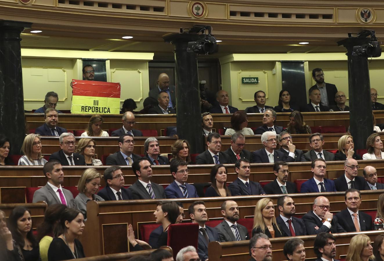 El senador navarro de IU, Iñaki Bernal, ha mantenido desplegada una bandera republicana desde su escaño en lo alto del hemiciclo del Congreso durante buena parte del discurso del Rey