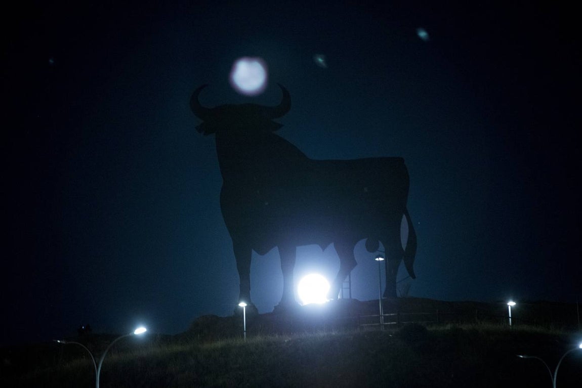 Espectaculares imágenes del toro que se enamoró de la superluna