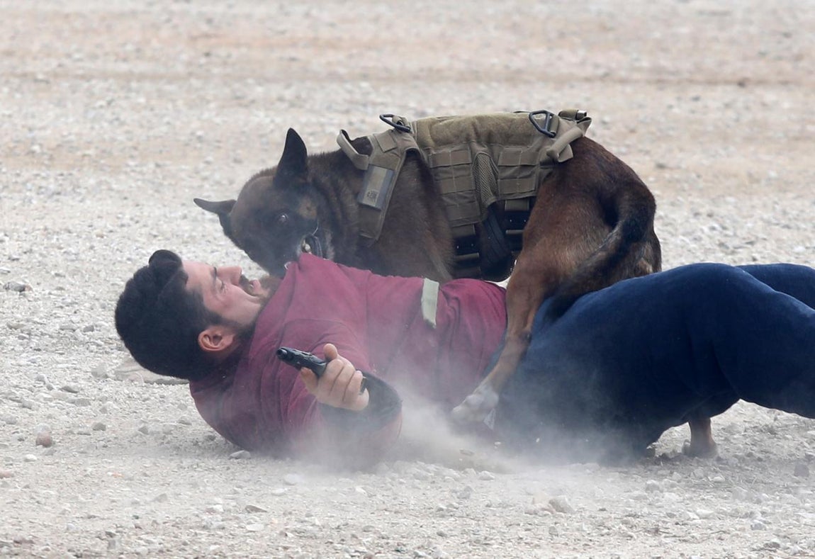 Maniobras antiterroristas con los nuevos helicópteros «Caimán». 